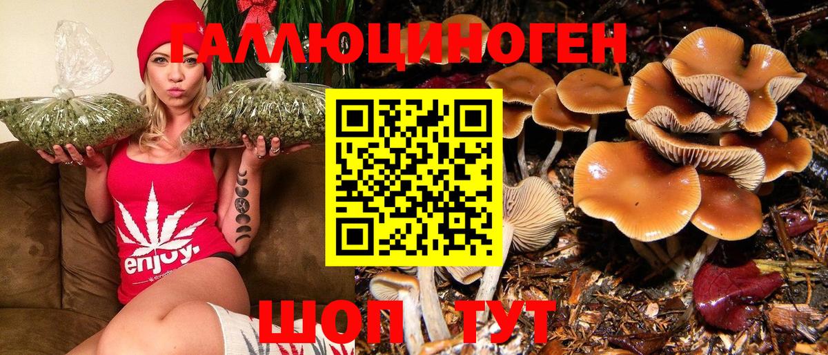 Псилоцибиновые грибы GOLDEN TEACHER Семёнов