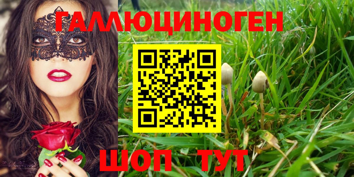 Псилоцибиновые грибы Magic Shrooms  Вход с VPN  Семёнов 